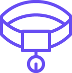 Online Services