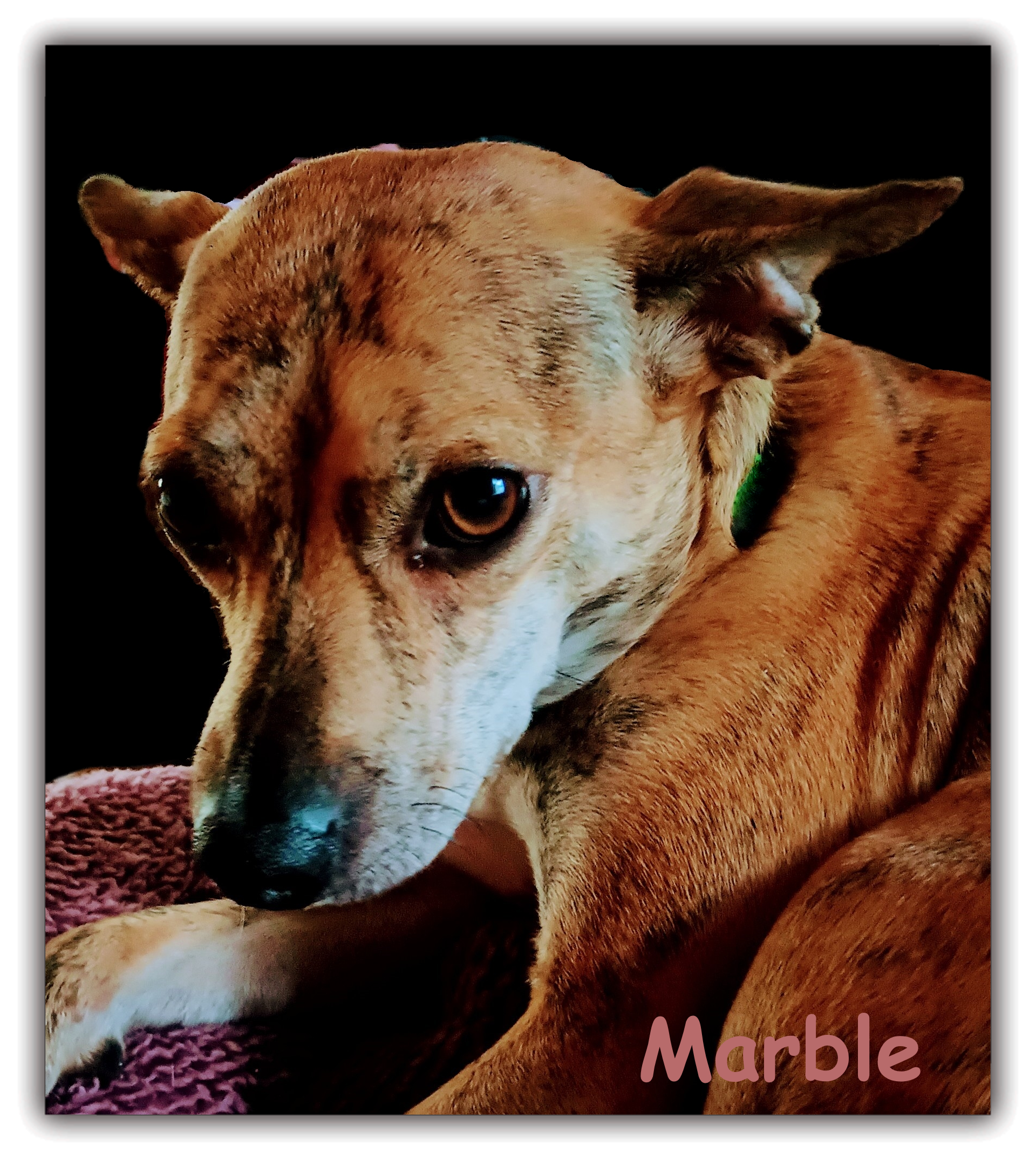 Marble-use