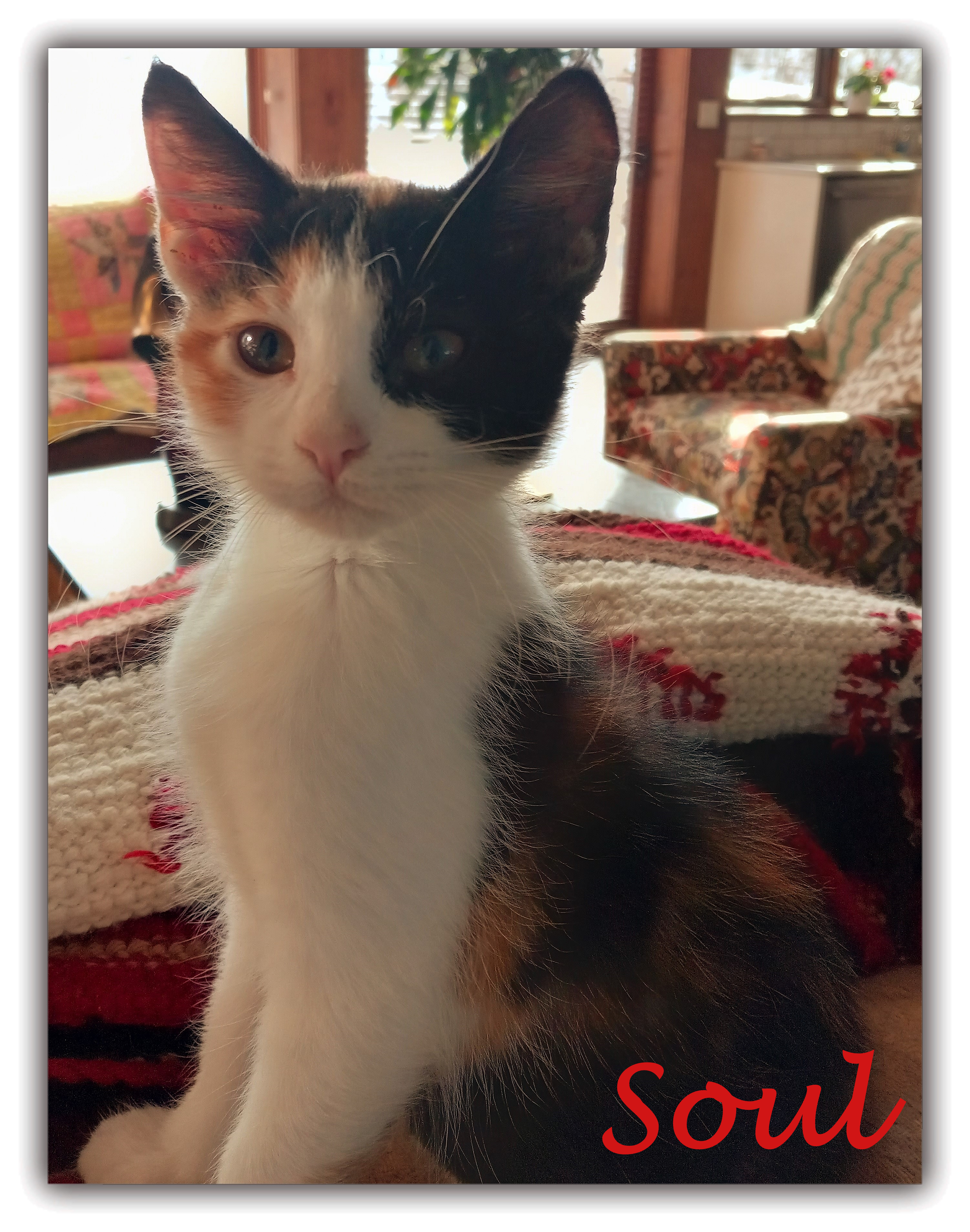 Soul
